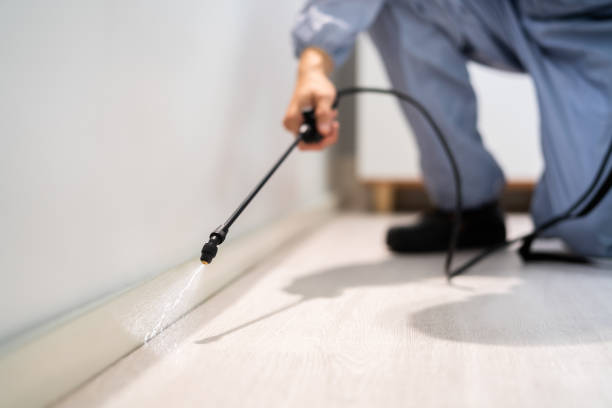Licensed Pest Control service in North Newton, KS - Show Me Pest Control